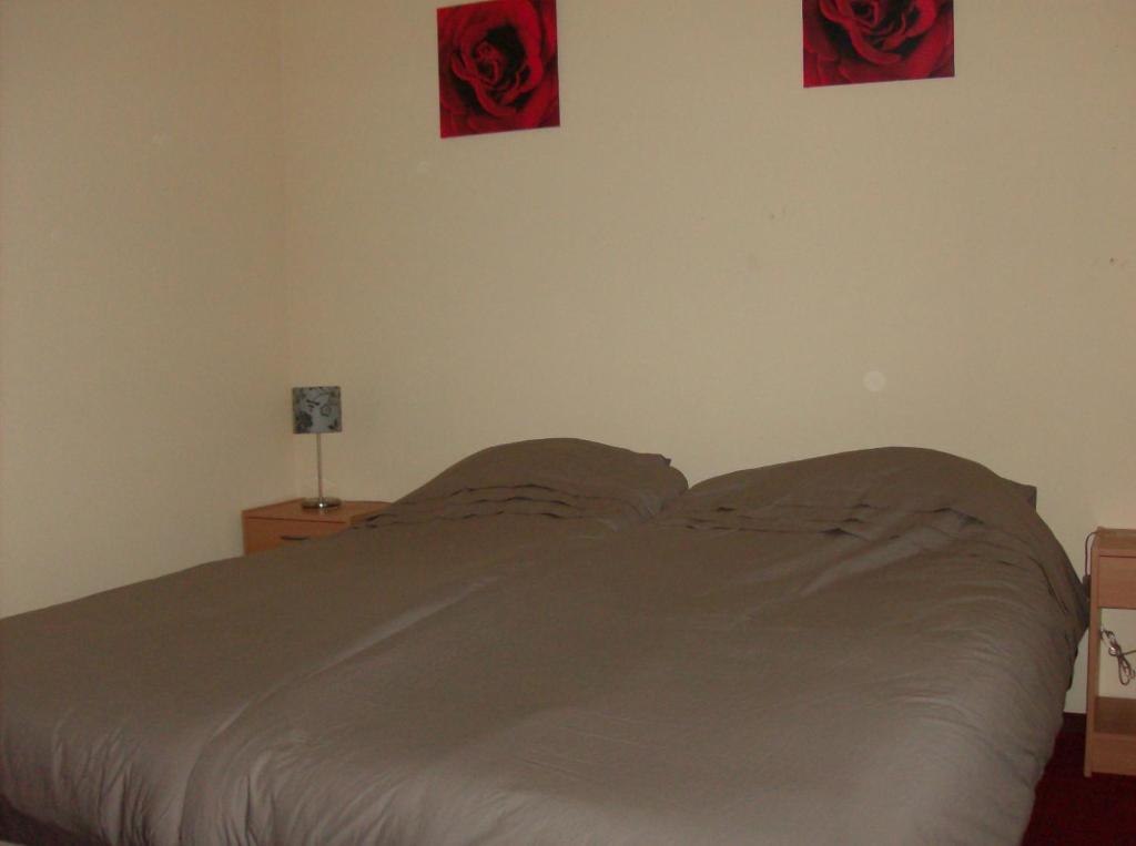 Vakantiepark De Bronzen Eik Sellingen 部屋 写真